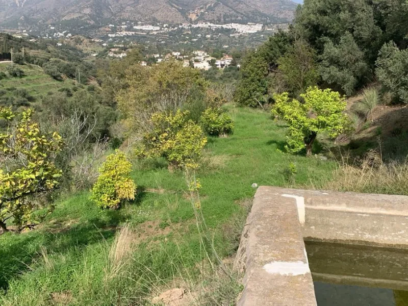 House - Finca - Cortijo в продаже в Mijas, Málaga. В доме 3 спален и 2 ванных комнат. Площадь дома 208 м². Площадь участка 19200 м²