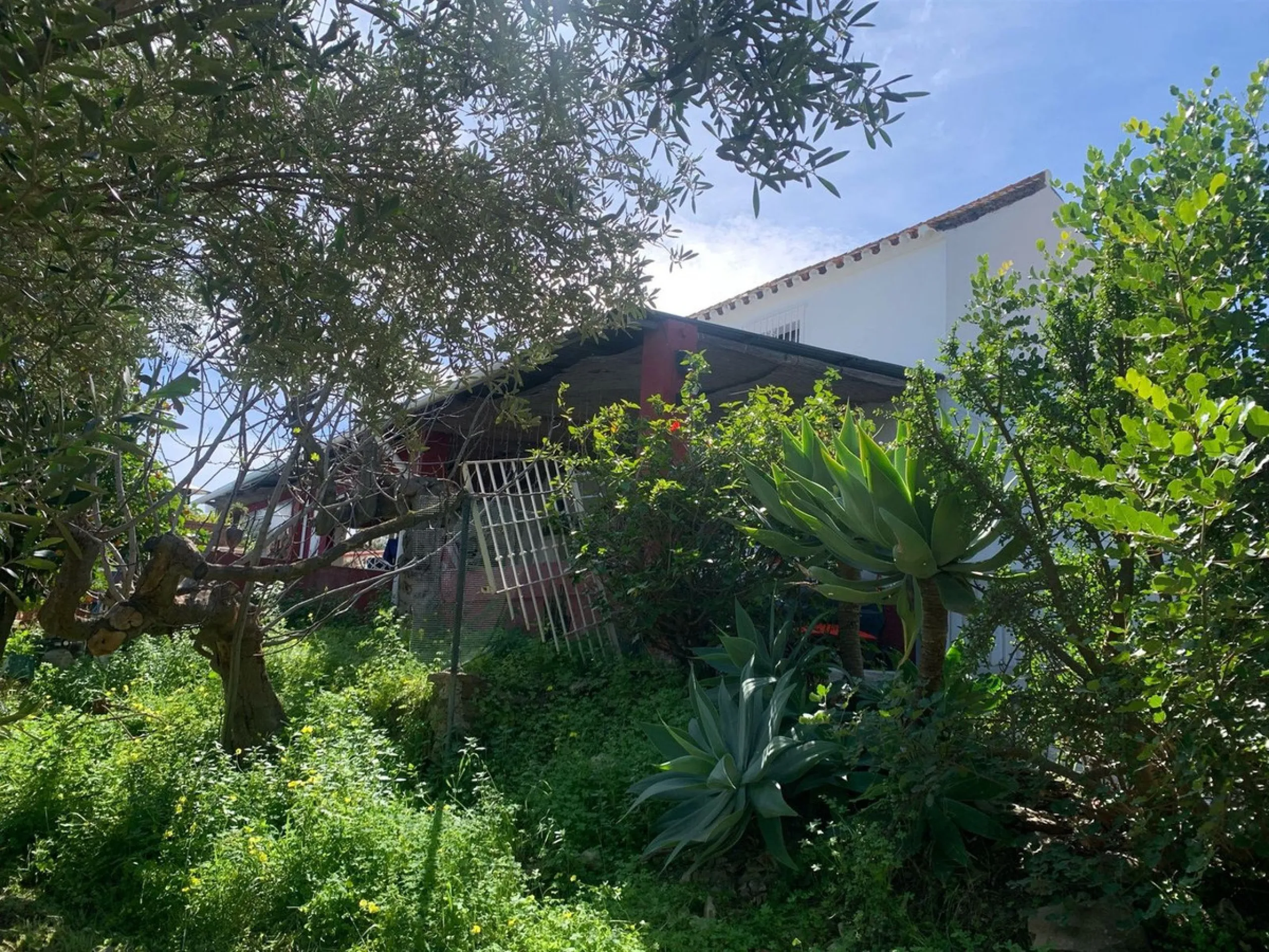 House - Finca - Cortijo в продаже в Mijas, Málaga. В доме 3 спален и 2 ванных комнат. Площадь дома 208 м². Площадь участка 19200 м²