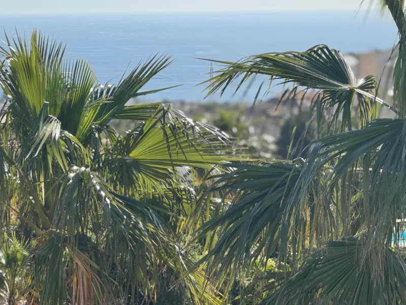 Brand-new luxury villa in El Higuerón, Fuengirola