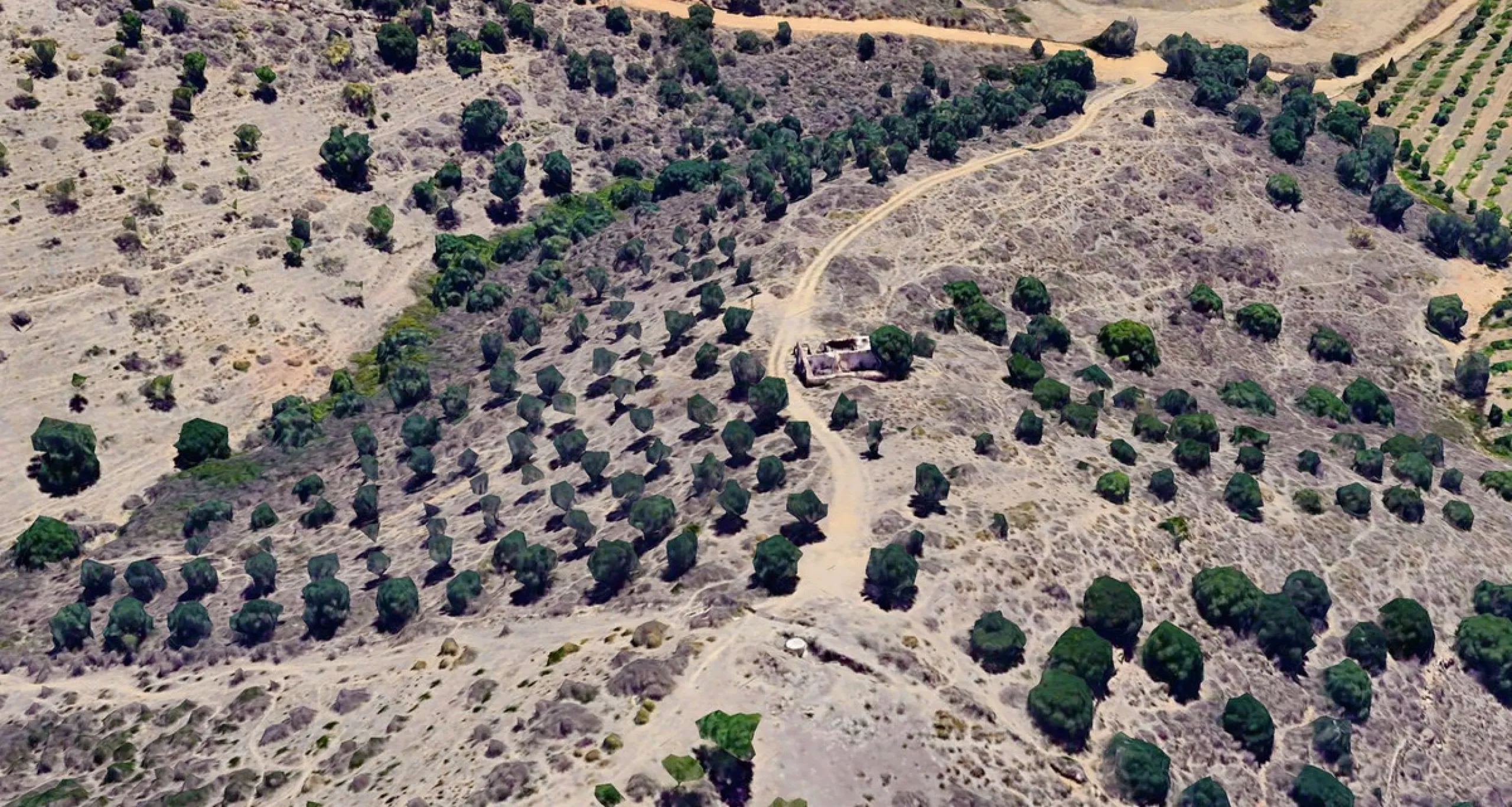 Plot - Land with Ruin в продаже в Mijas, Málaga. Площадь дома 140 м². Площадь участка 36000 м²