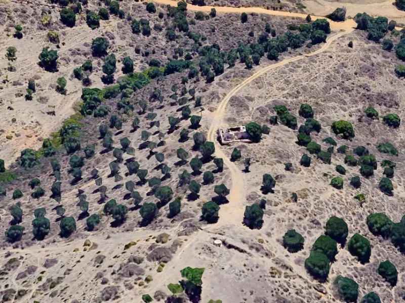 Plot - Land with Ruin в продаже в Mijas, Málaga. Площадь дома 140 м². Площадь участка 36000 м²