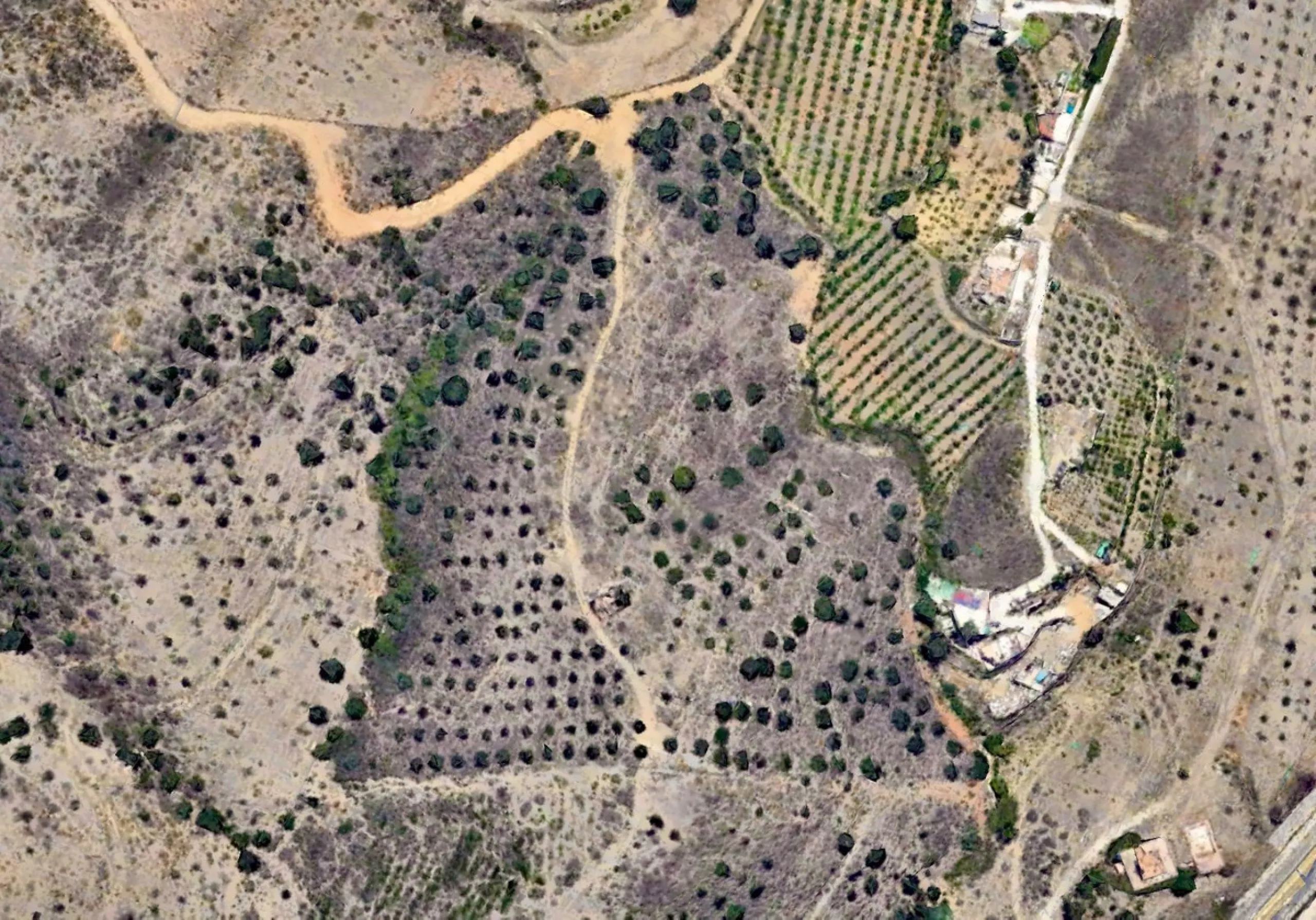 Plot - Land with Ruin в продаже в Mijas, Málaga. Площадь дома 140 м². Площадь участка 36000 м²