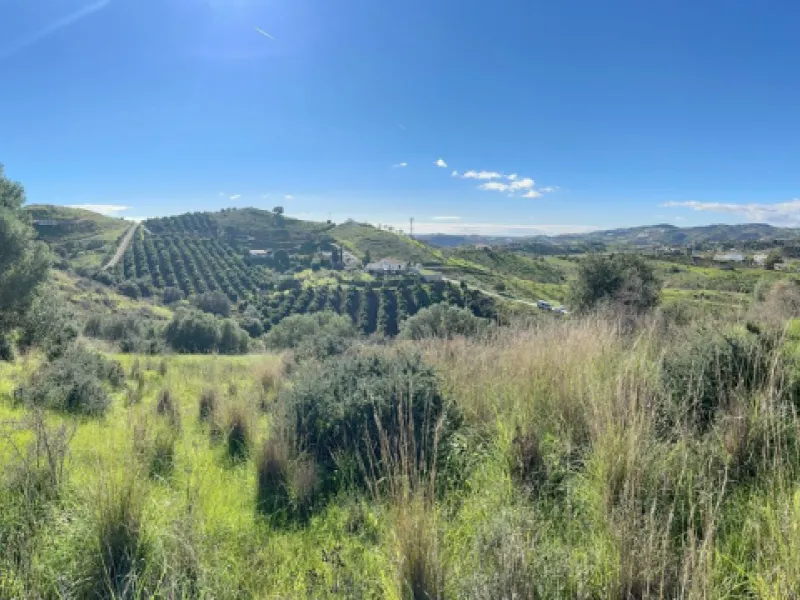 Plot - Land with Ruin в продаже в Mijas, Málaga. Площадь дома 140 м². Площадь участка 36000 м²