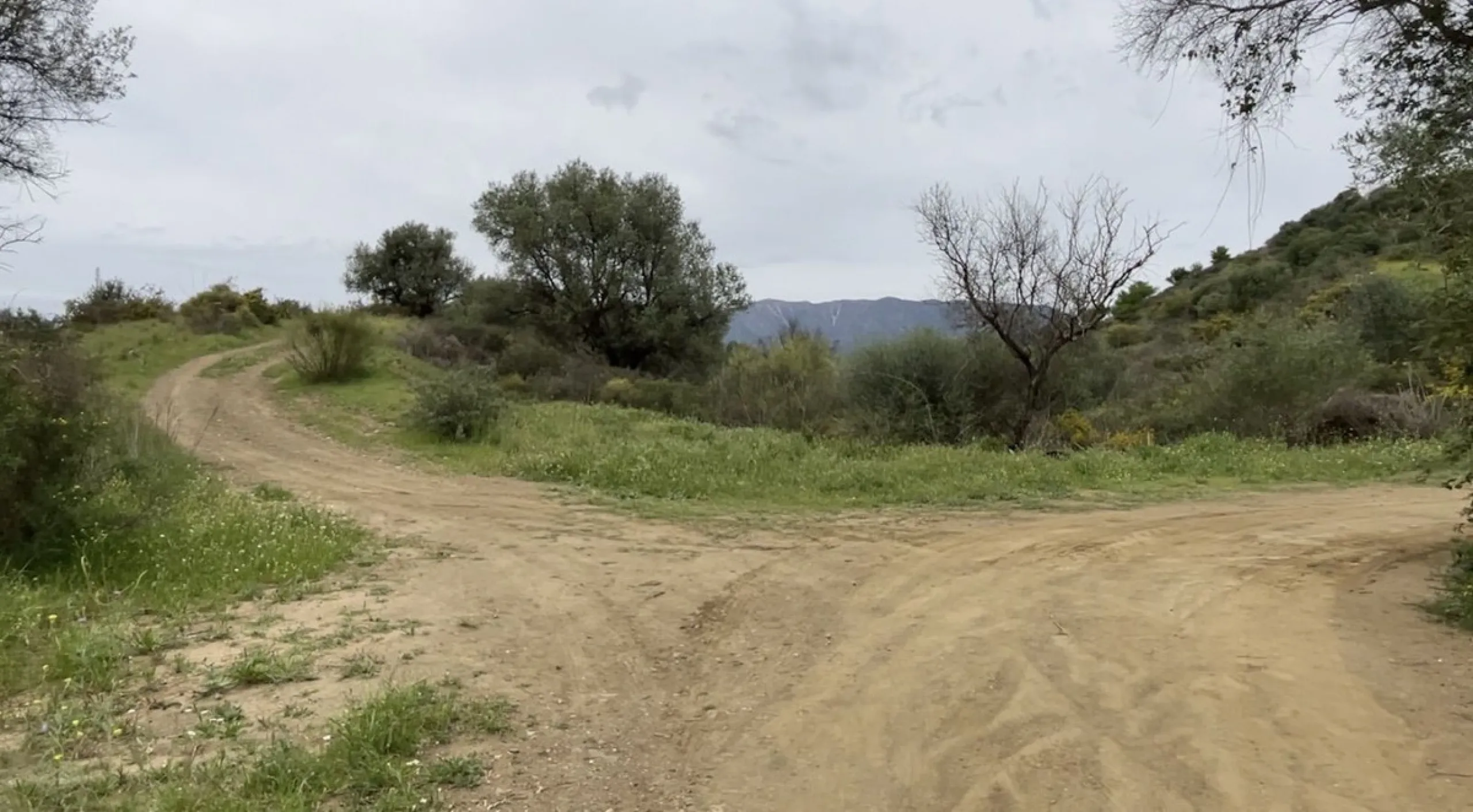 Plot - Land with Ruin в продаже в Mijas, Málaga. Площадь дома 140 м². Площадь участка 36000 м²