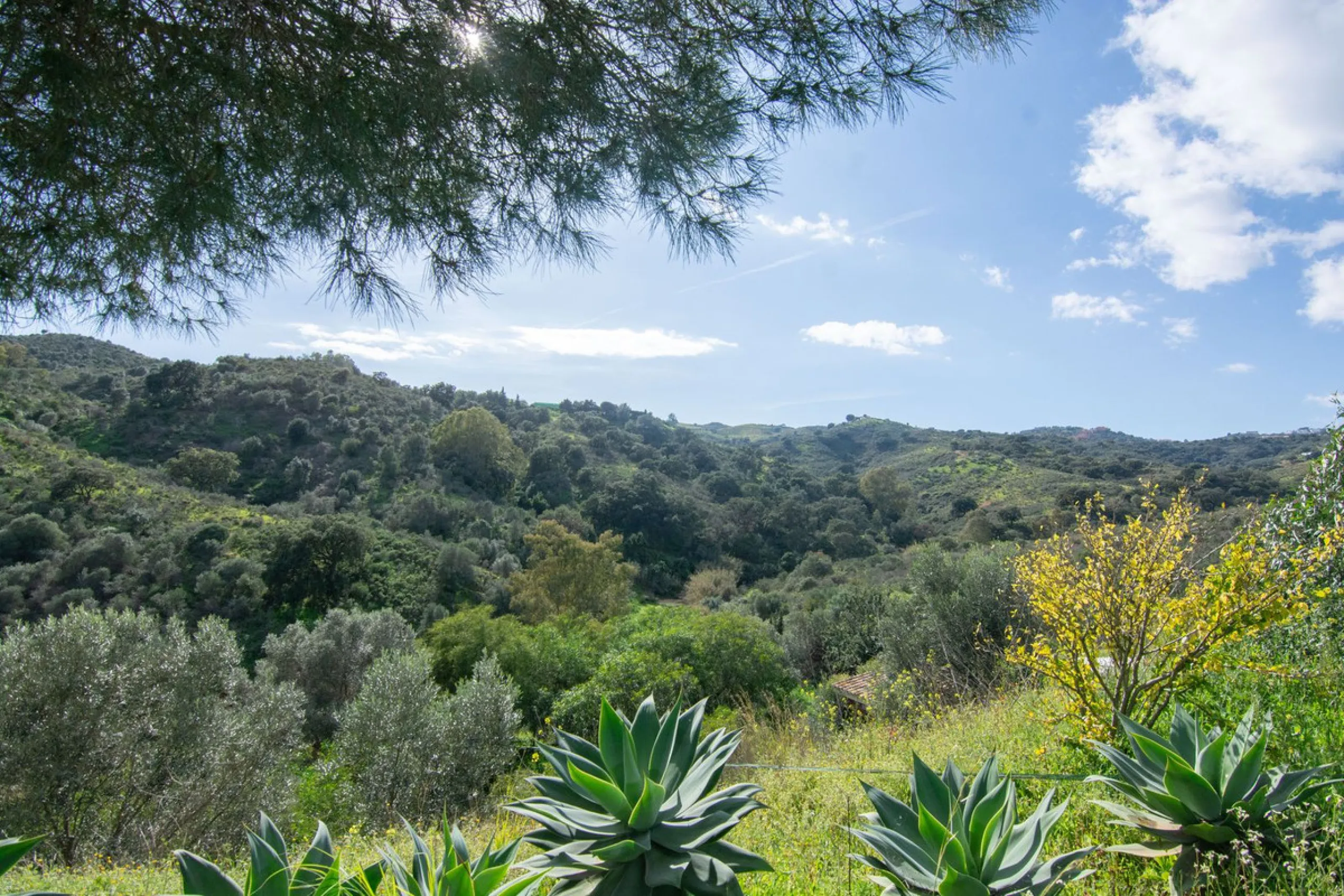House - Finca - Cortijo в продаже в Mijas, Málaga. В доме 3 спален и 3 ванных комнат. Площадь дома 240 м². Площадь участка 6462 м²
