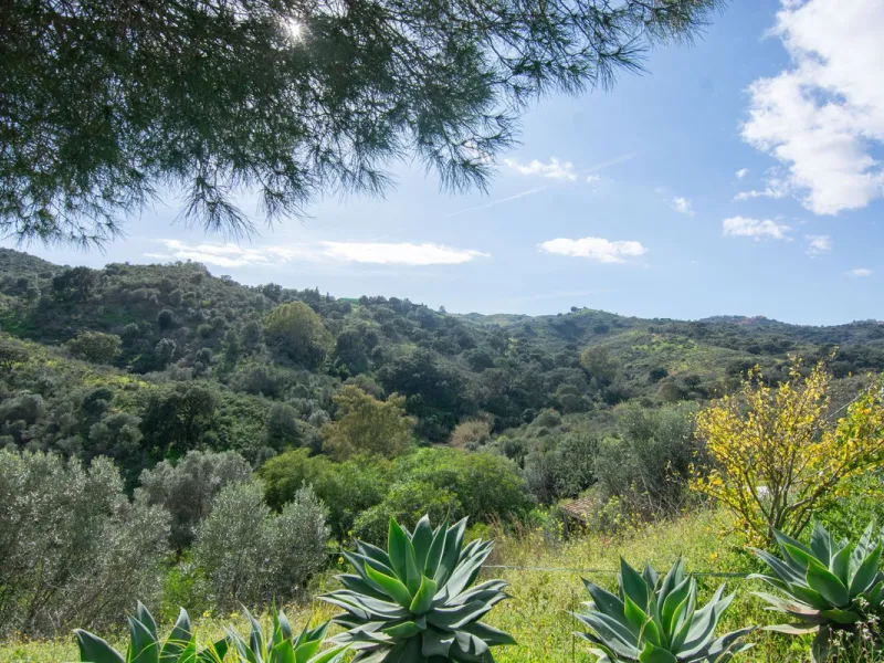 House - Finca - Cortijo в продаже в Mijas, Málaga. В доме 3 спален и 3 ванных комнат. Площадь дома 240 м². Площадь участка 6462 м²
