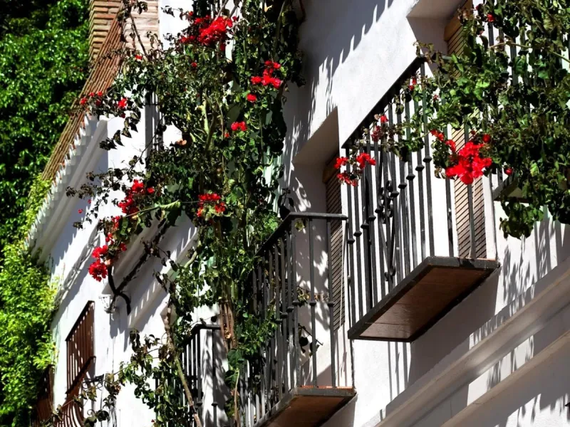 Building in the old town consisting of a house with a private terrace on the upper floor. And a nice restaurant on the ground floor, with a valid opening license. And use of the terrace for tables.