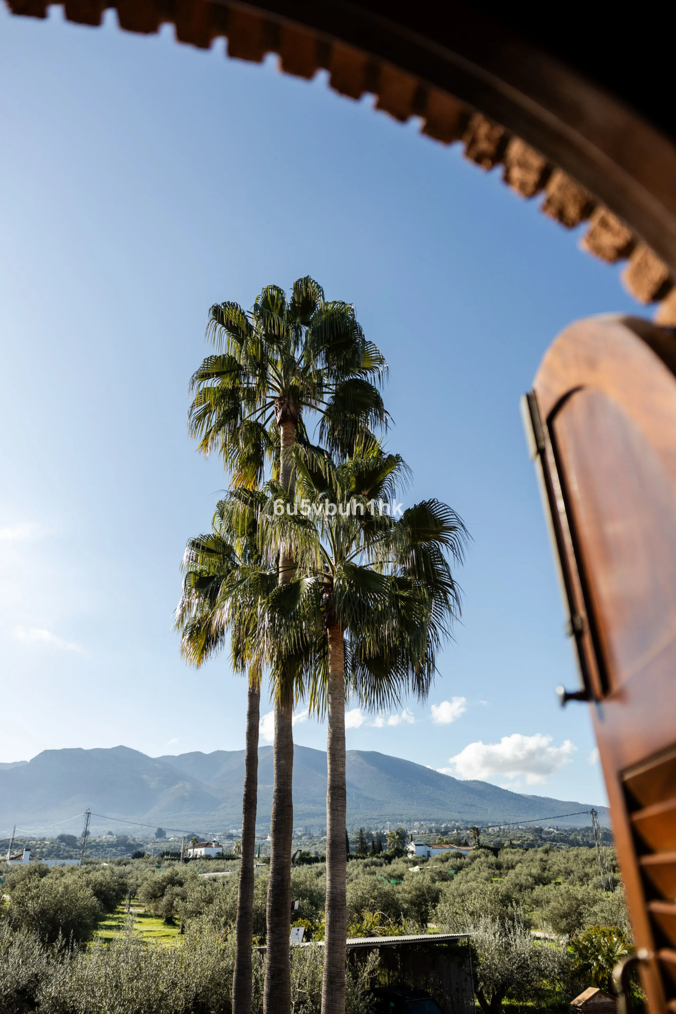 This exceptional villa is situated on a sprawling 6,188-square-meter plot adorned with 80 productive olive trees. With 300 square meters of thoughtfully designed living space, the property combines comfort, functionality, and stunning natural surroundings