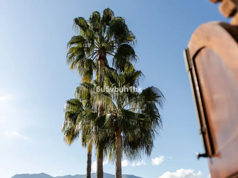 This exceptional villa is situated on a sprawling 6,188-square-meter plot adorned with 80 productive olive trees. With 300 square meters of thoughtfully designed living space, the property combines comfort, functionality, and stunning natural surroundings