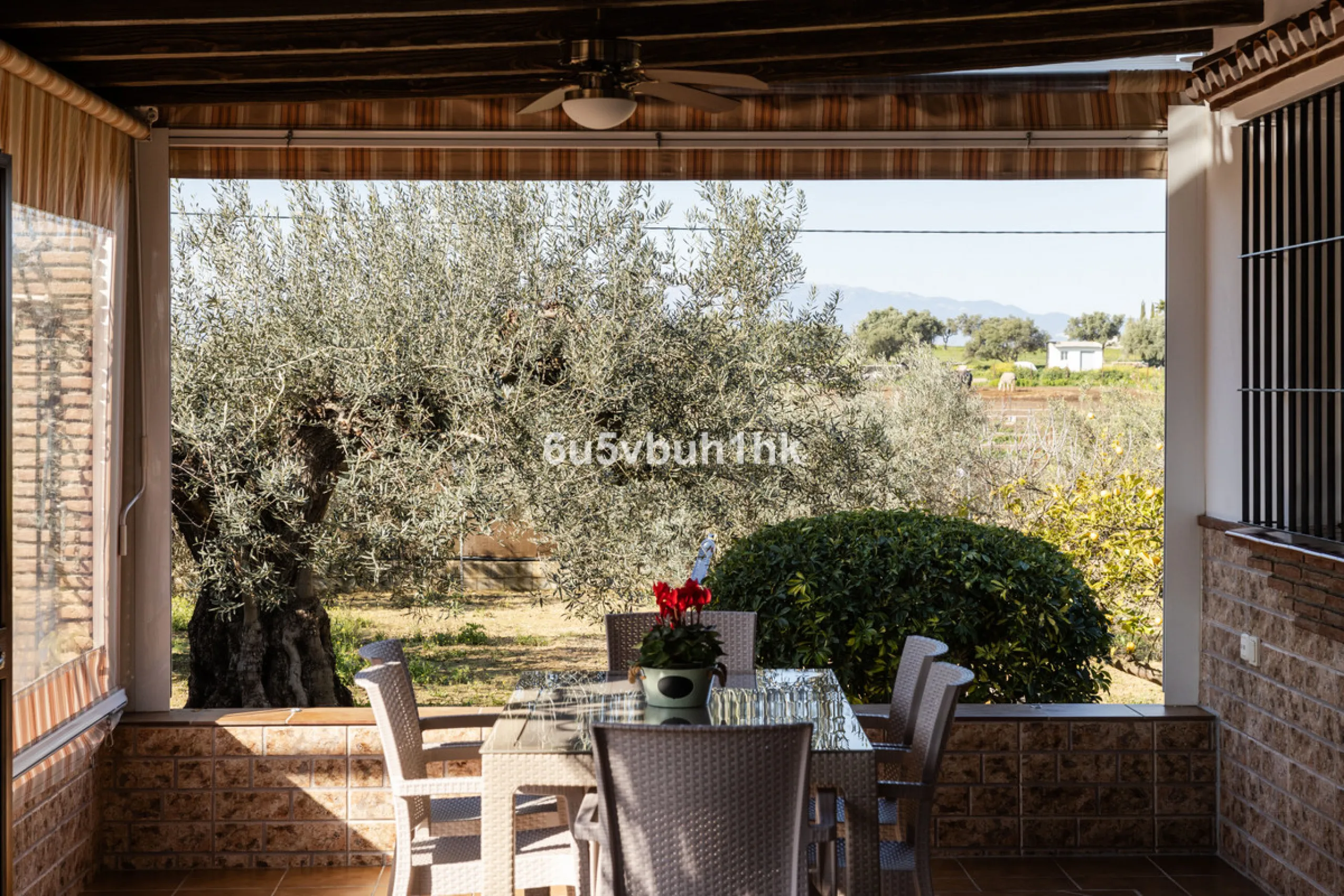This exceptional villa is situated on a sprawling 6,188-square-meter plot adorned with 80 productive olive trees. With 300 square meters of thoughtfully designed living space, the property combines comfort, functionality, and stunning natural surroundings