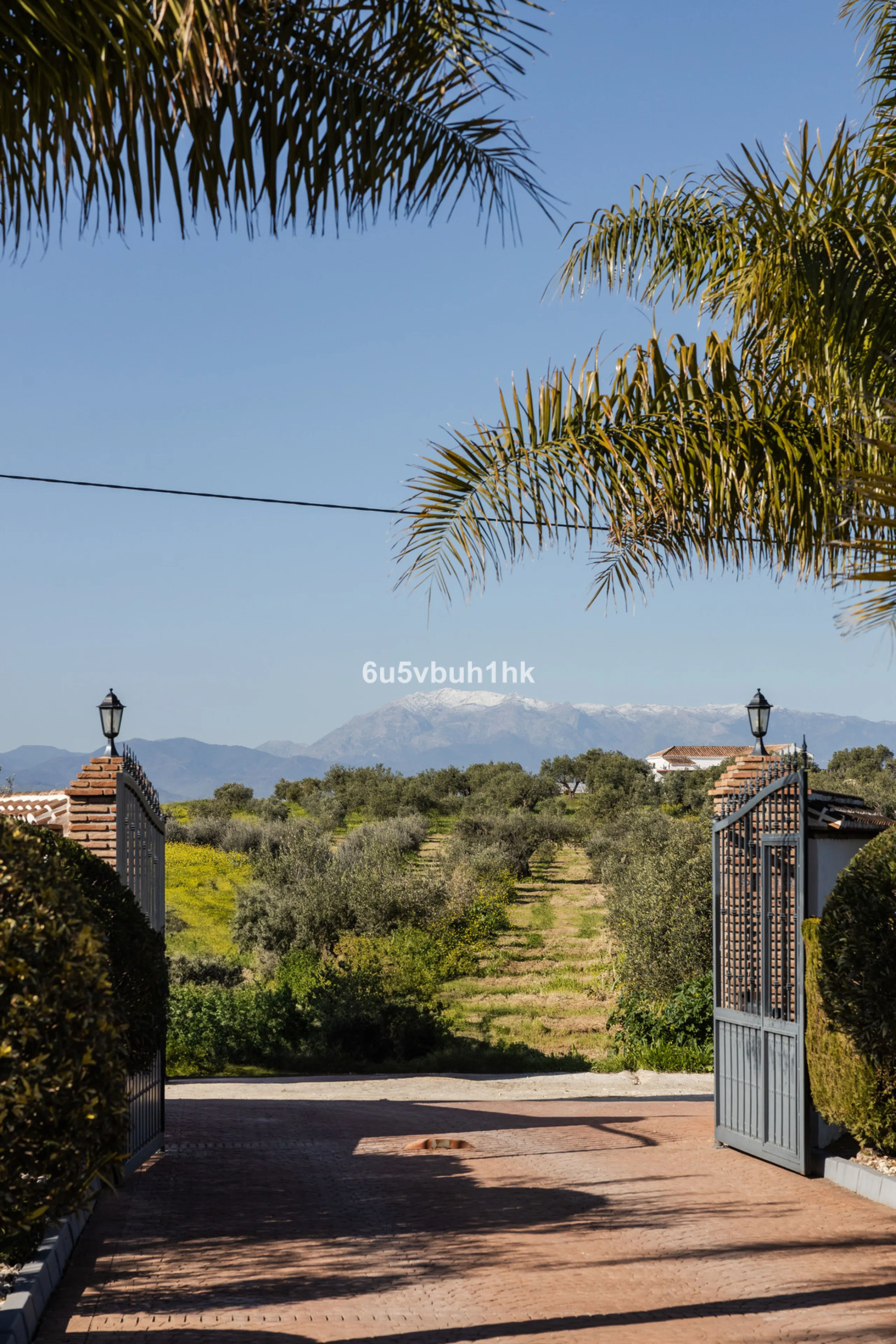 This exceptional villa is situated on a sprawling 6,188-square-meter plot adorned with 80 productive olive trees. With 300 square meters of thoughtfully designed living space, the property combines comfort, functionality, and stunning natural surroundings