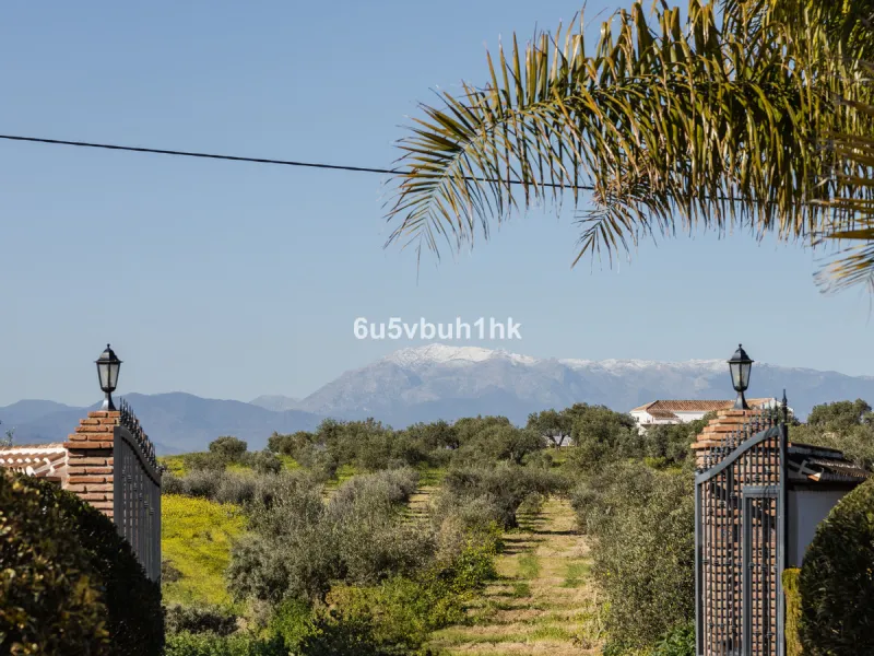 This exceptional villa is situated on a sprawling 6,188-square-meter plot adorned with 80 productive olive trees. With 300 square meters of thoughtfully designed living space, the property combines comfort, functionality, and stunning natural surroundings