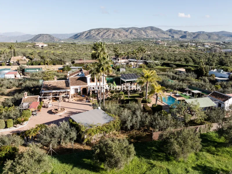 This exceptional villa is situated on a sprawling 6,188-square-meter plot adorned with 80 productive olive trees. With 300 square meters of thoughtfully designed living space, the property combines comfort, functionality, and stunning natural surroundings