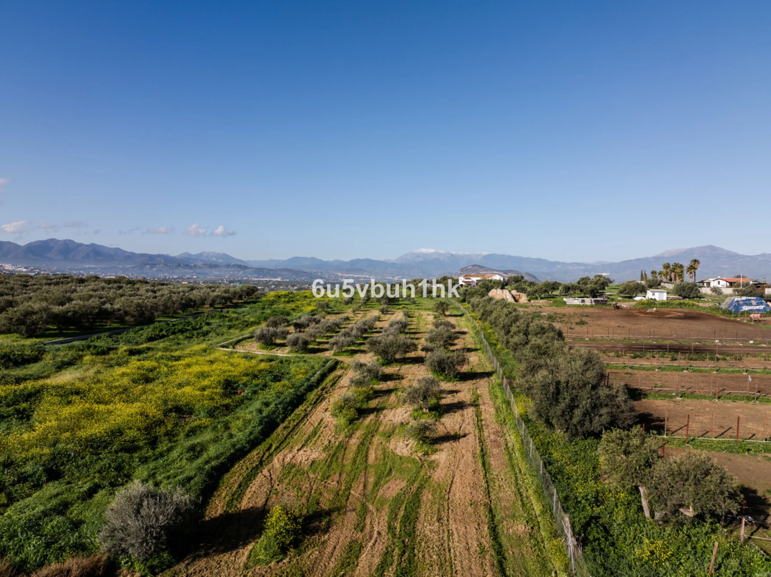 This exceptional villa is situated on a sprawling 6,188-square-meter plot adorned with 80 productive olive trees. With 300 square meters of thoughtfully designed living space, the property combines comfort, functionality, and stunning natural surroundings