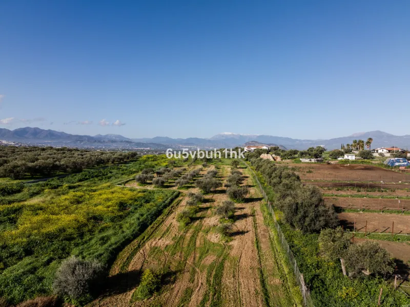 This exceptional villa is situated on a sprawling 6,188-square-meter plot adorned with 80 productive olive trees. With 300 square meters of thoughtfully designed living space, the property combines comfort, functionality, and stunning natural surroundings