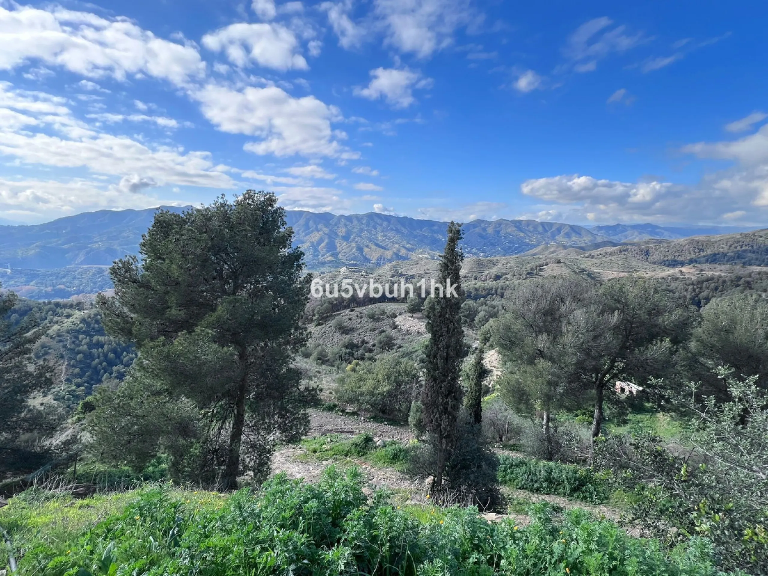 Seize the opportunity to own an extraordinary country estate in the breathtaking Montes de Málaga, just 10 minutes from the city center and 25 minutes from the airport.