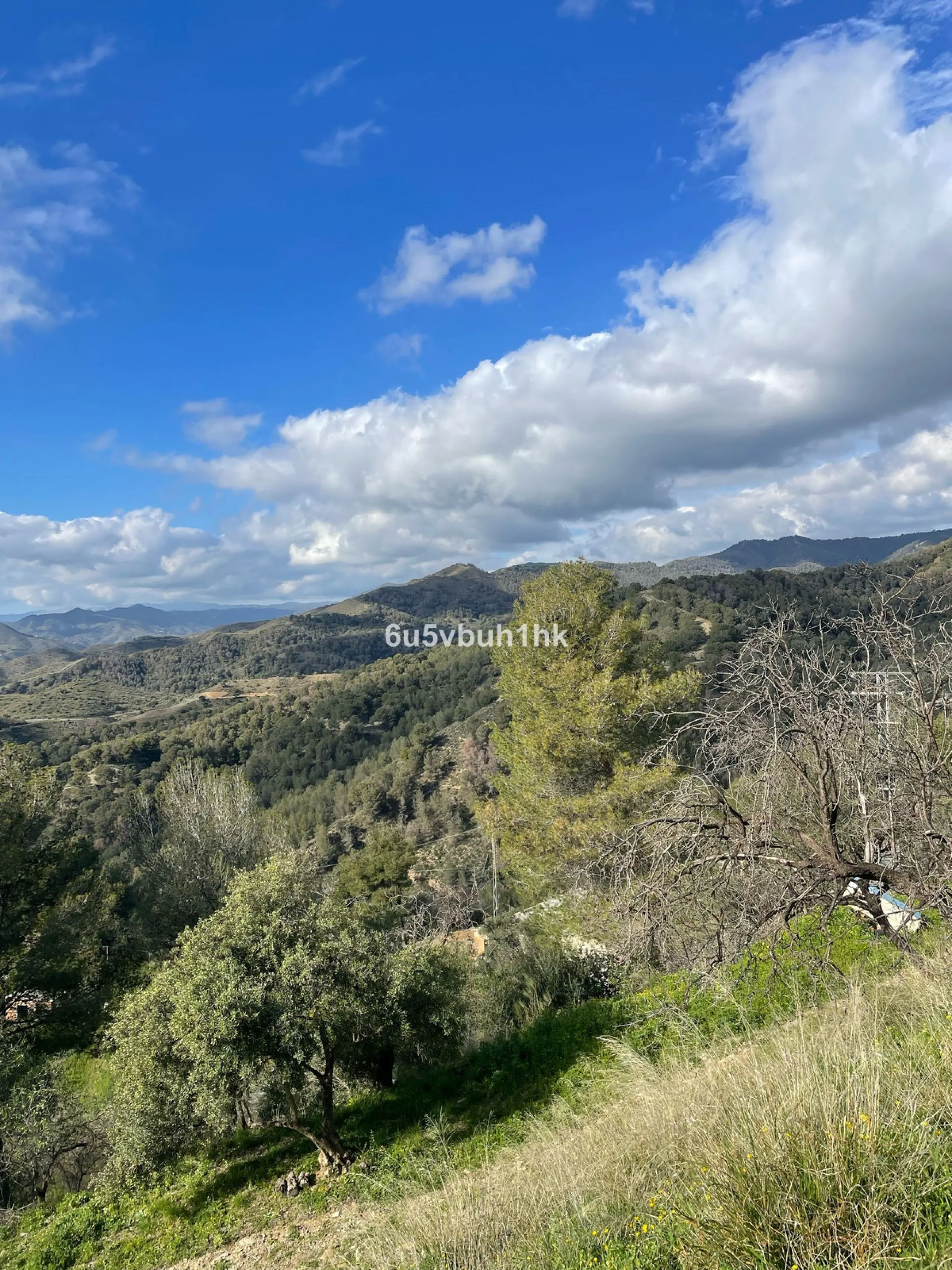 Seize the opportunity to own an extraordinary country estate in the breathtaking Montes de Málaga, just 10 minutes from the city center and 25 minutes from the airport.