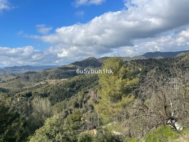 Seize the opportunity to own an extraordinary country estate in the breathtaking Montes de Málaga, just 10 minutes from the city center and 25 minutes from the airport.
