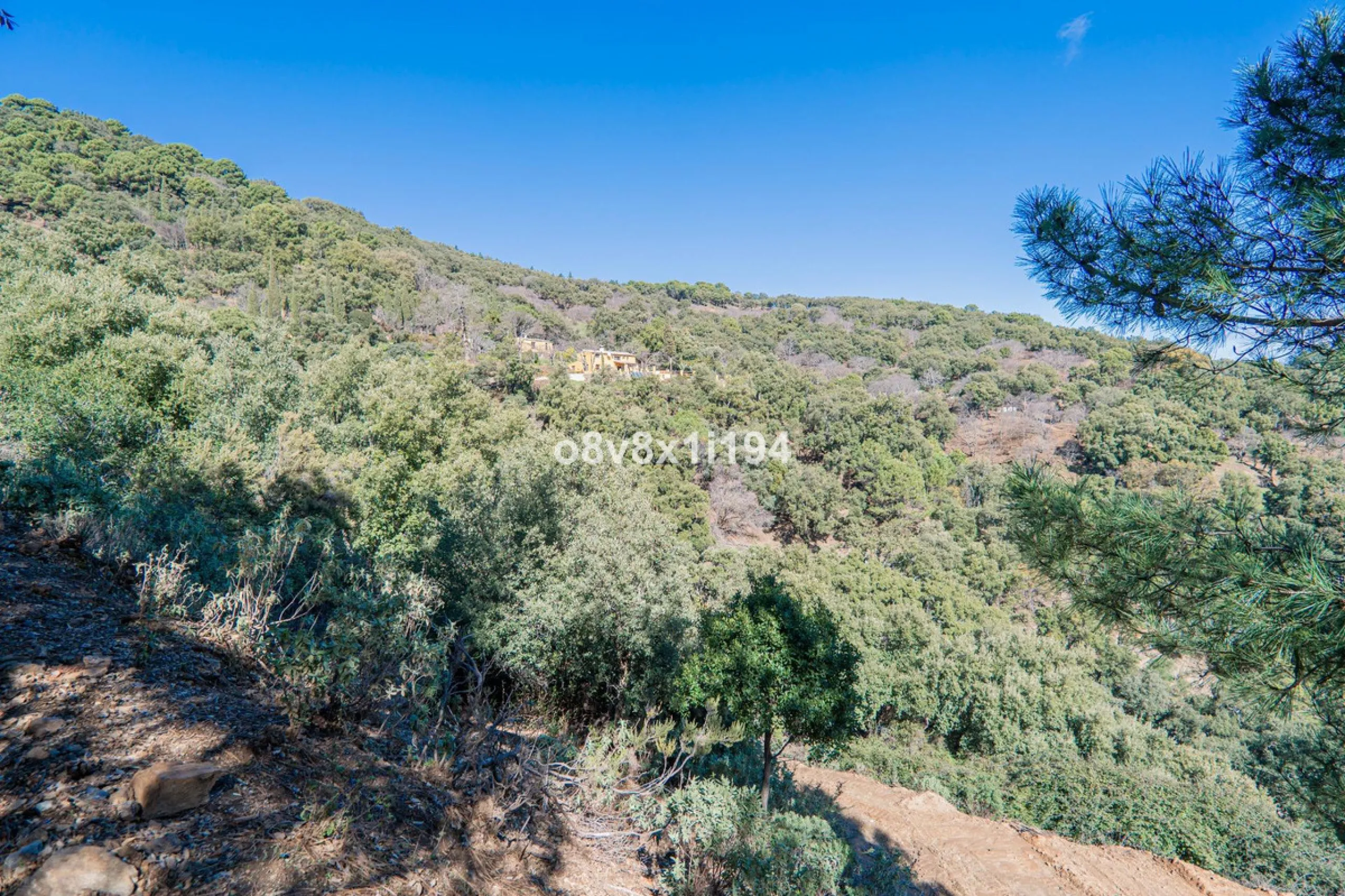 We are delighted to present this magnificent 30-hectare estate located on the outskirts of Jubrique, nestled in the breathtaking Valle del Genal. Surrounded by forests, mountains, and pristine nature, this exclusive property offers absolute privacy, makin