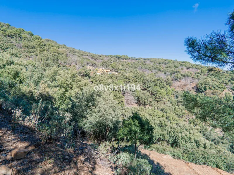 We are delighted to present this magnificent 30-hectare estate located on the outskirts of Jubrique, nestled in the breathtaking Valle del Genal. Surrounded by forests, mountains, and pristine nature, this exclusive property offers absolute privacy, makin