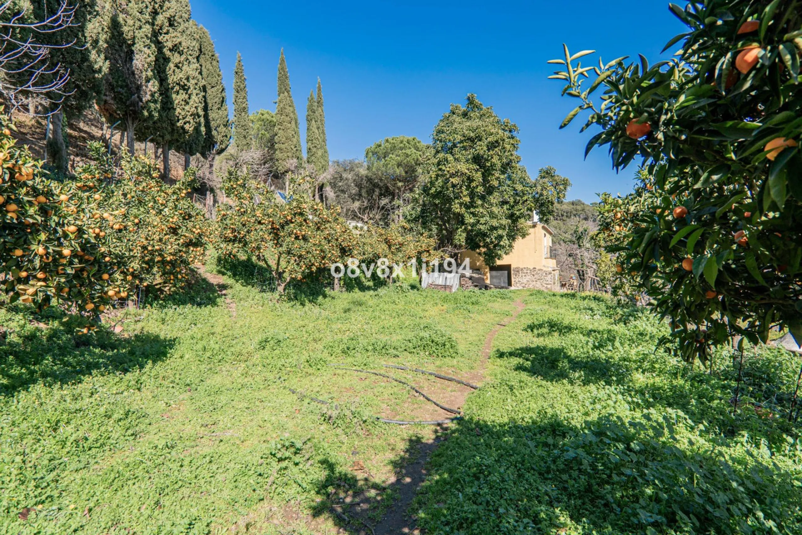We are delighted to present this magnificent 30-hectare estate located on the outskirts of Jubrique, nestled in the breathtaking Valle del Genal. Surrounded by forests, mountains, and pristine nature, this exclusive property offers absolute privacy, makin