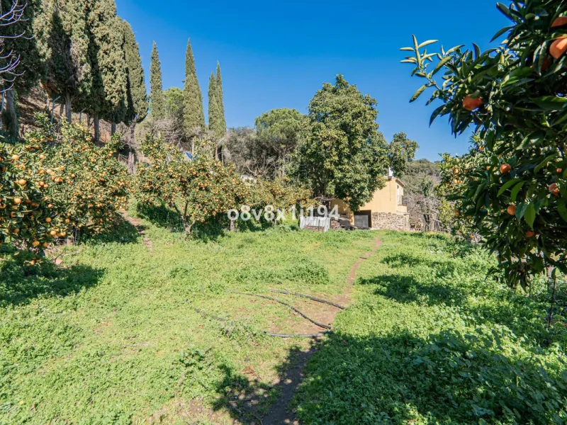 We are delighted to present this magnificent 30-hectare estate located on the outskirts of Jubrique, nestled in the breathtaking Valle del Genal. Surrounded by forests, mountains, and pristine nature, this exclusive property offers absolute privacy, makin