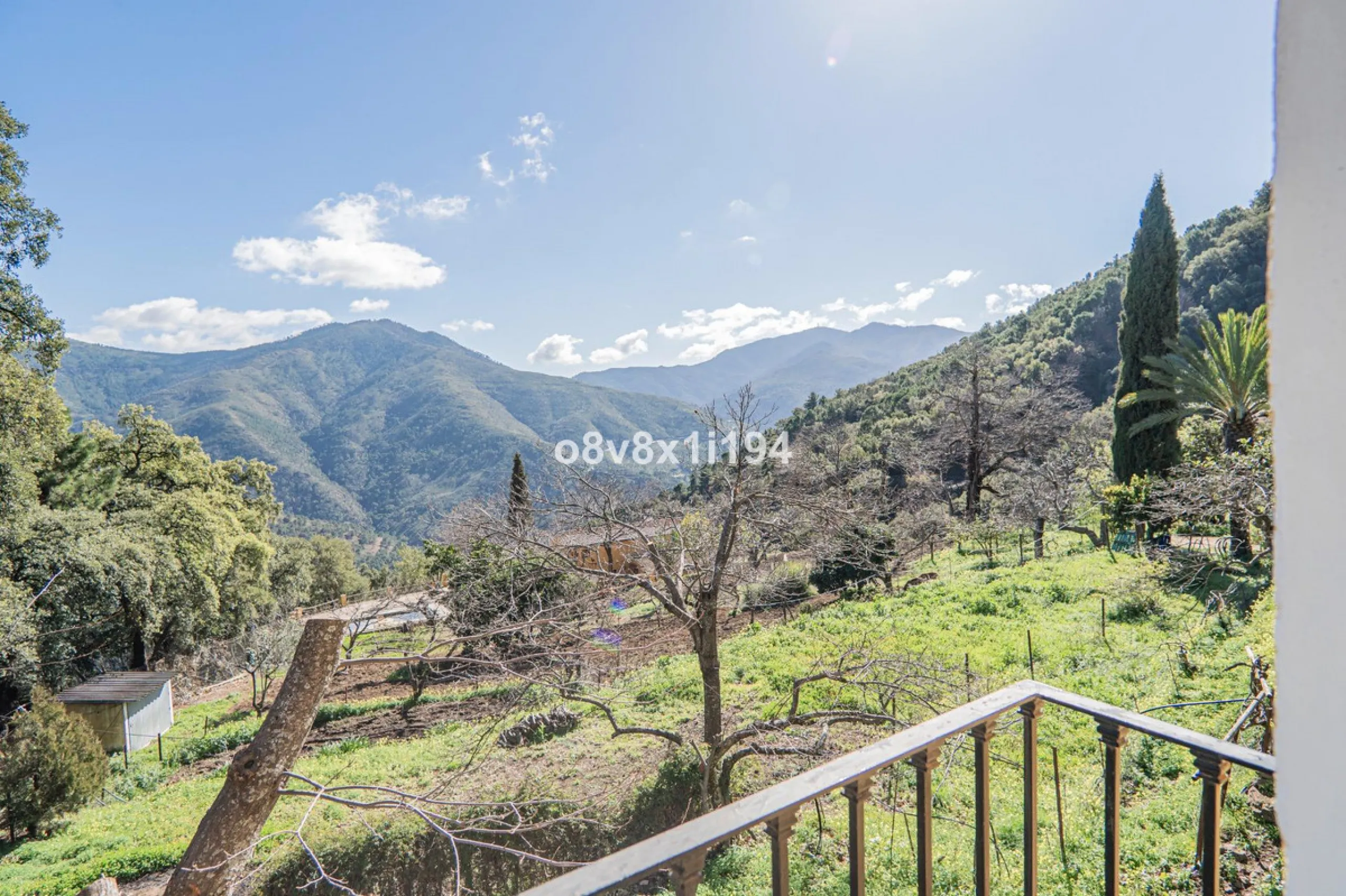 We are delighted to present this magnificent 30-hectare estate located on the outskirts of Jubrique, nestled in the breathtaking Valle del Genal. Surrounded by forests, mountains, and pristine nature, this exclusive property offers absolute privacy, makin