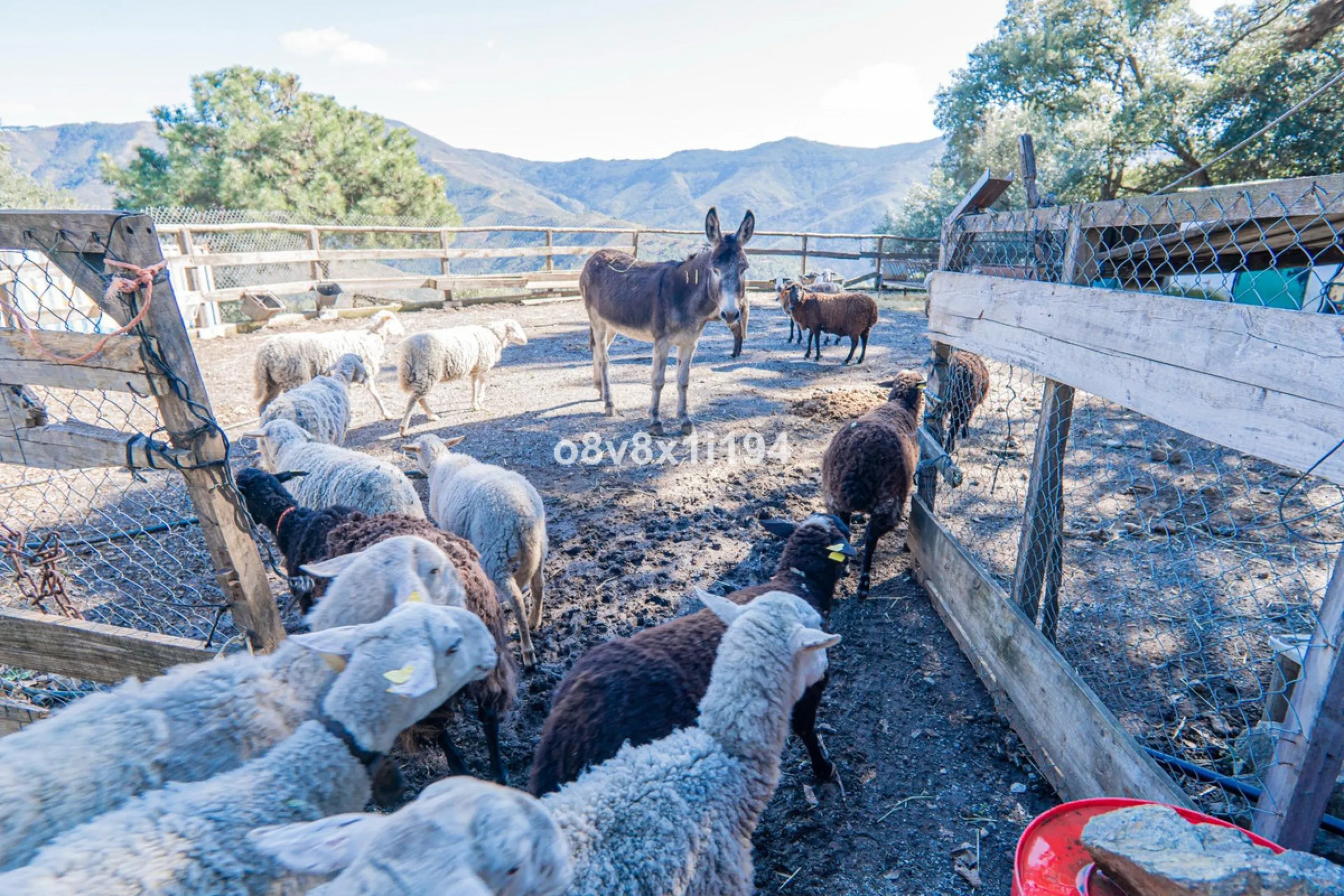 We are delighted to present this magnificent 30-hectare estate located on the outskirts of Jubrique, nestled in the breathtaking Valle del Genal. Surrounded by forests, mountains, and pristine nature, this exclusive property offers absolute privacy, makin