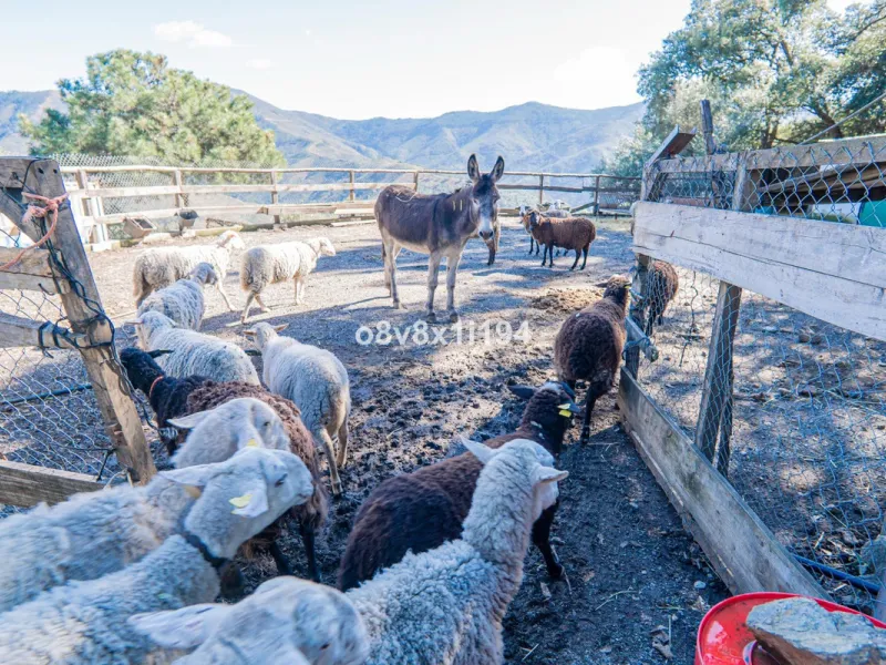 We are delighted to present this magnificent 30-hectare estate located on the outskirts of Jubrique, nestled in the breathtaking Valle del Genal. Surrounded by forests, mountains, and pristine nature, this exclusive property offers absolute privacy, makin
