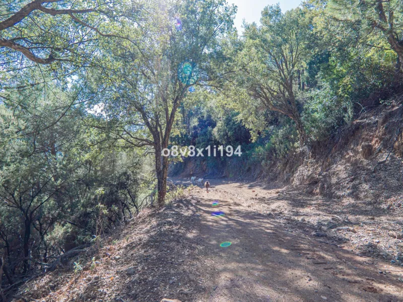 We are delighted to present this magnificent 30-hectare estate located on the outskirts of Jubrique, nestled in the breathtaking Valle del Genal. Surrounded by forests, mountains, and pristine nature, this exclusive property offers absolute privacy, makin