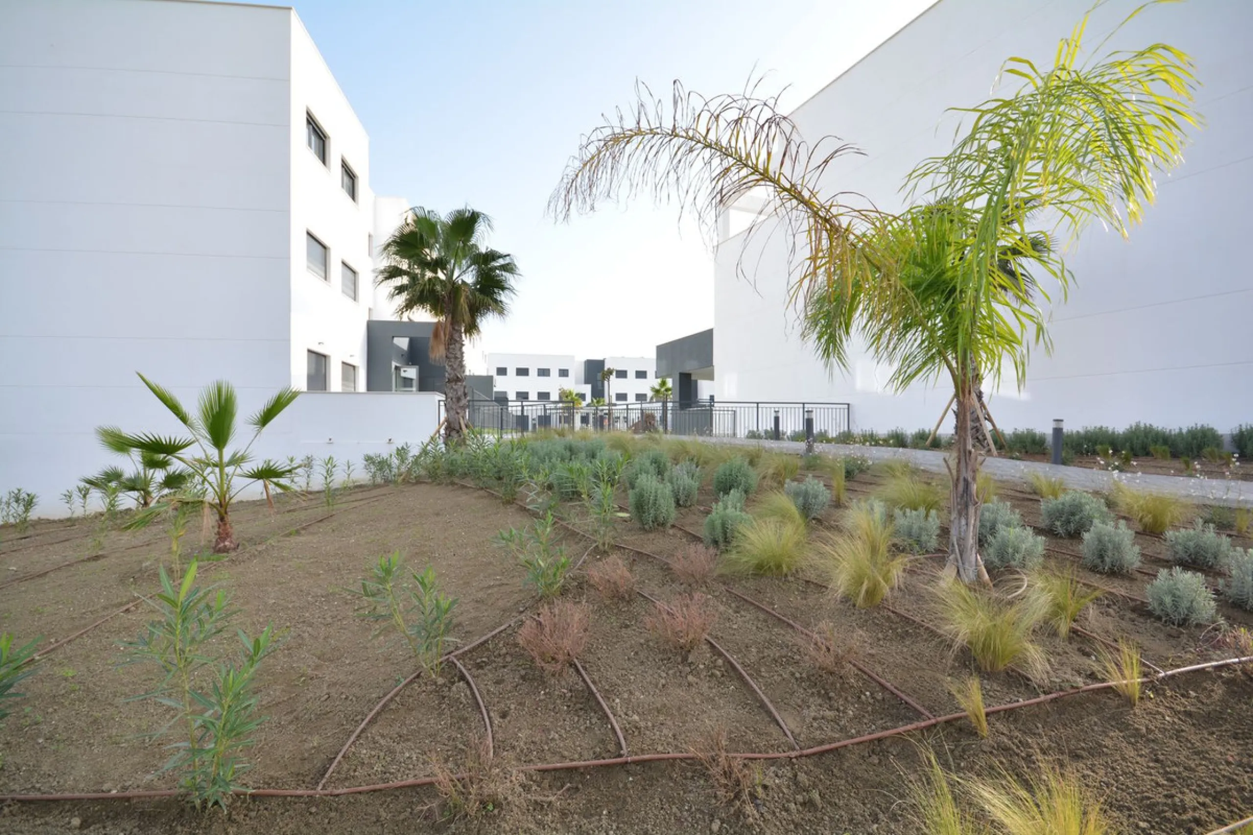 Contemporary 2 bedroom apartment for sale in Estepona west