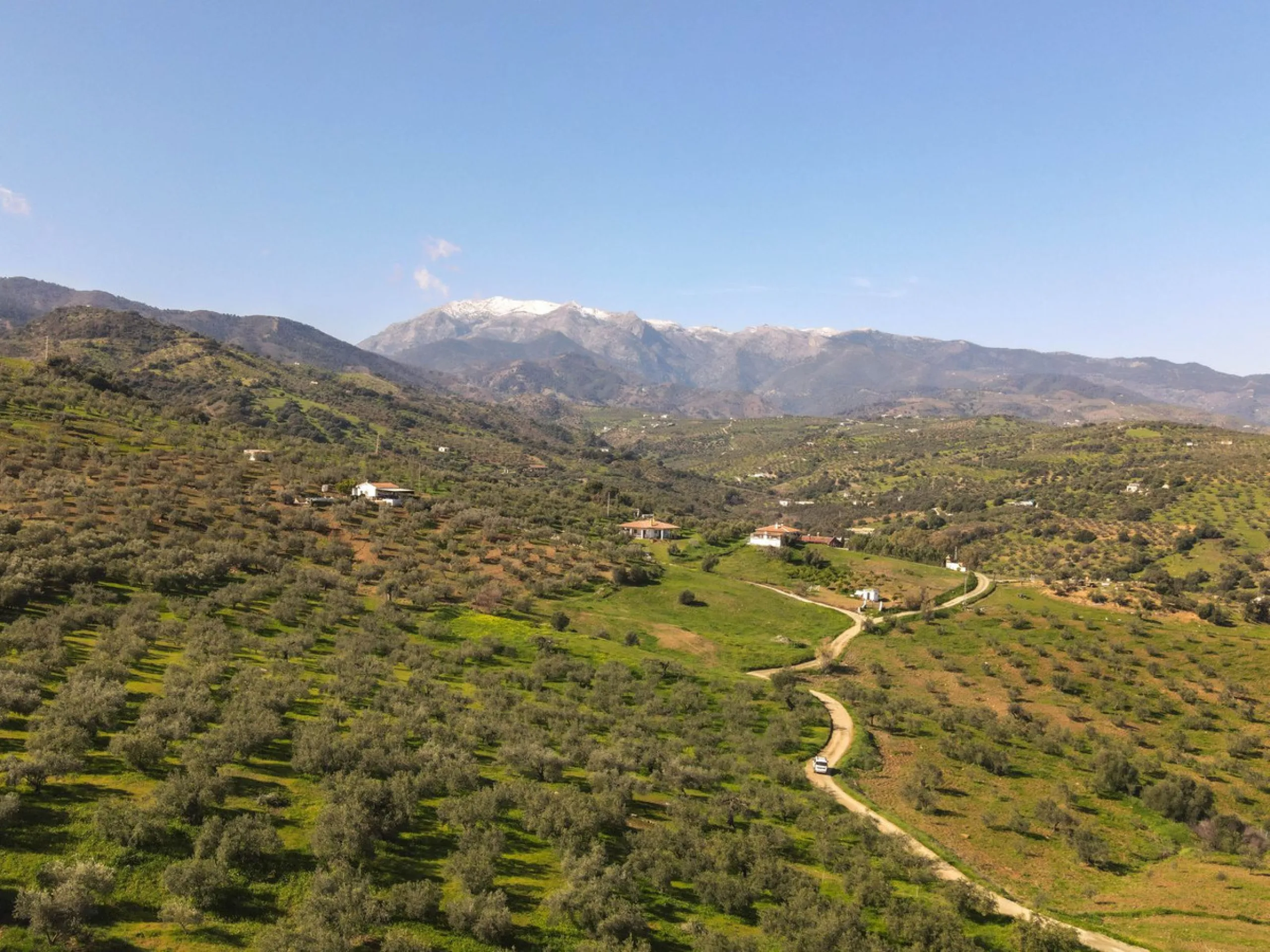 Beautifully Presented Finca