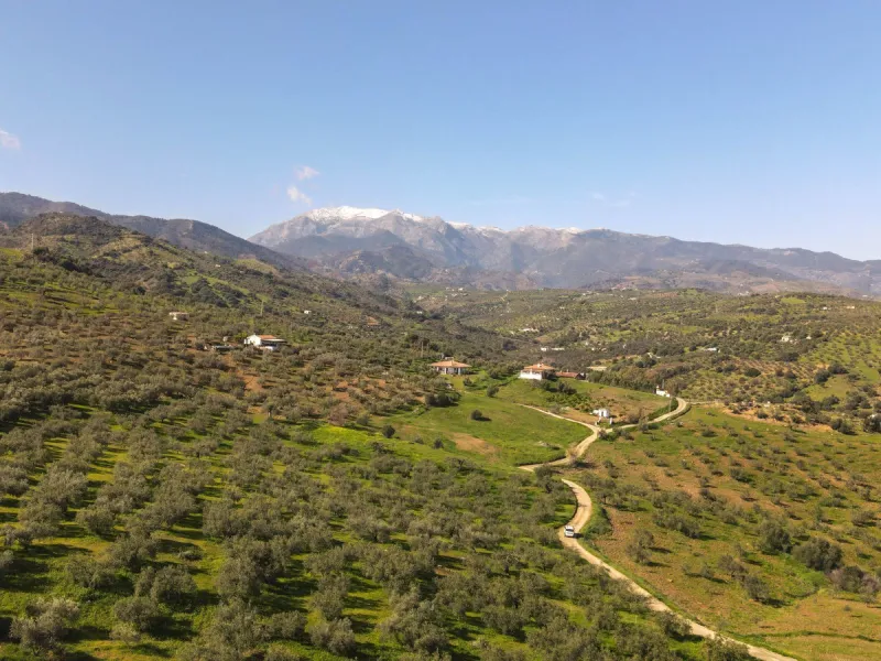 Beautifully Presented Finca