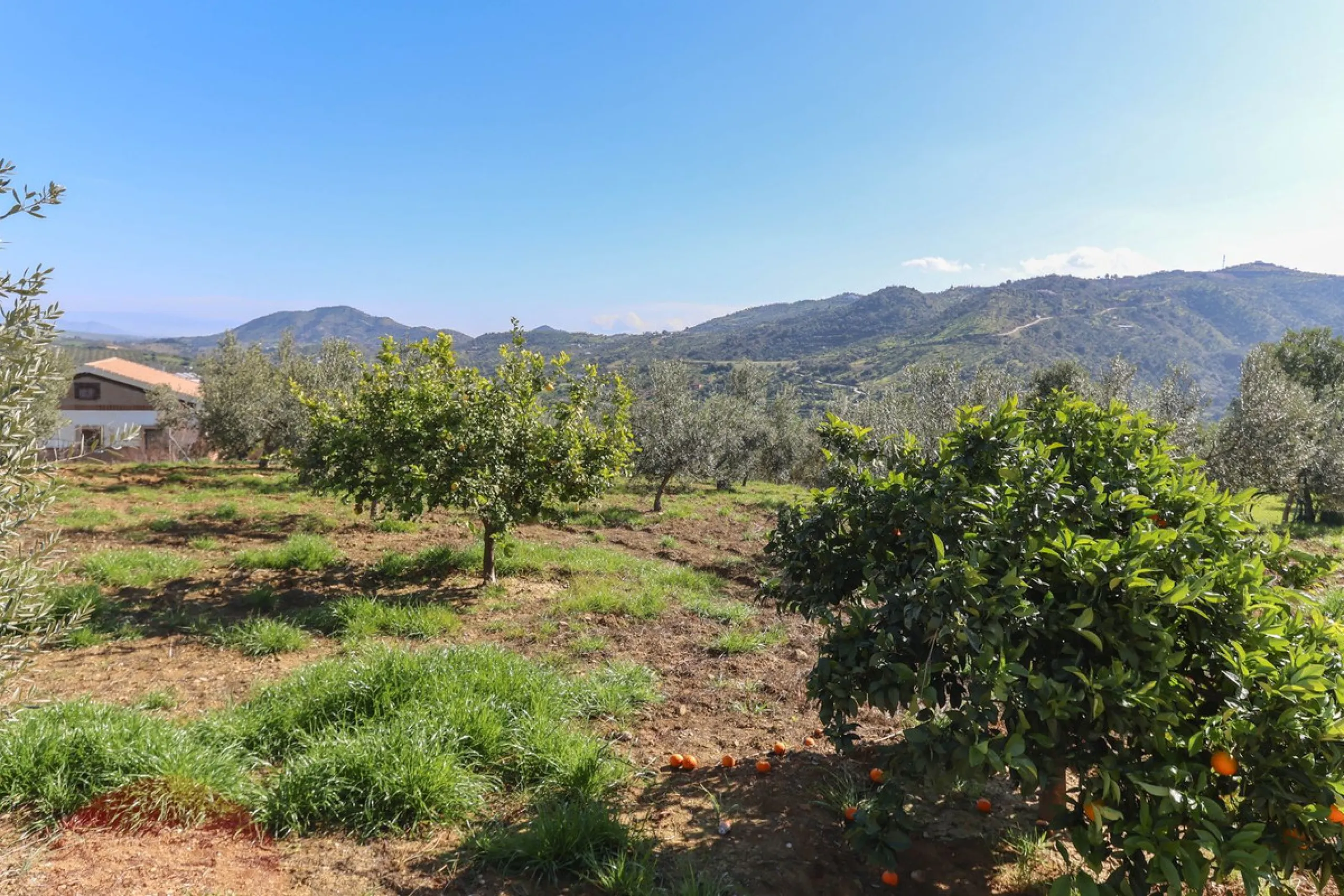 Beautifully Presented Finca