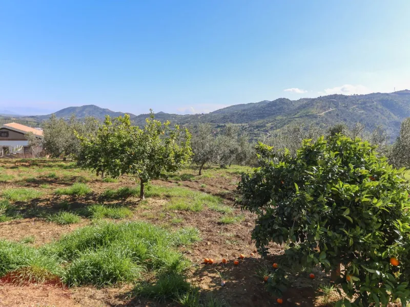 Beautifully Presented Finca