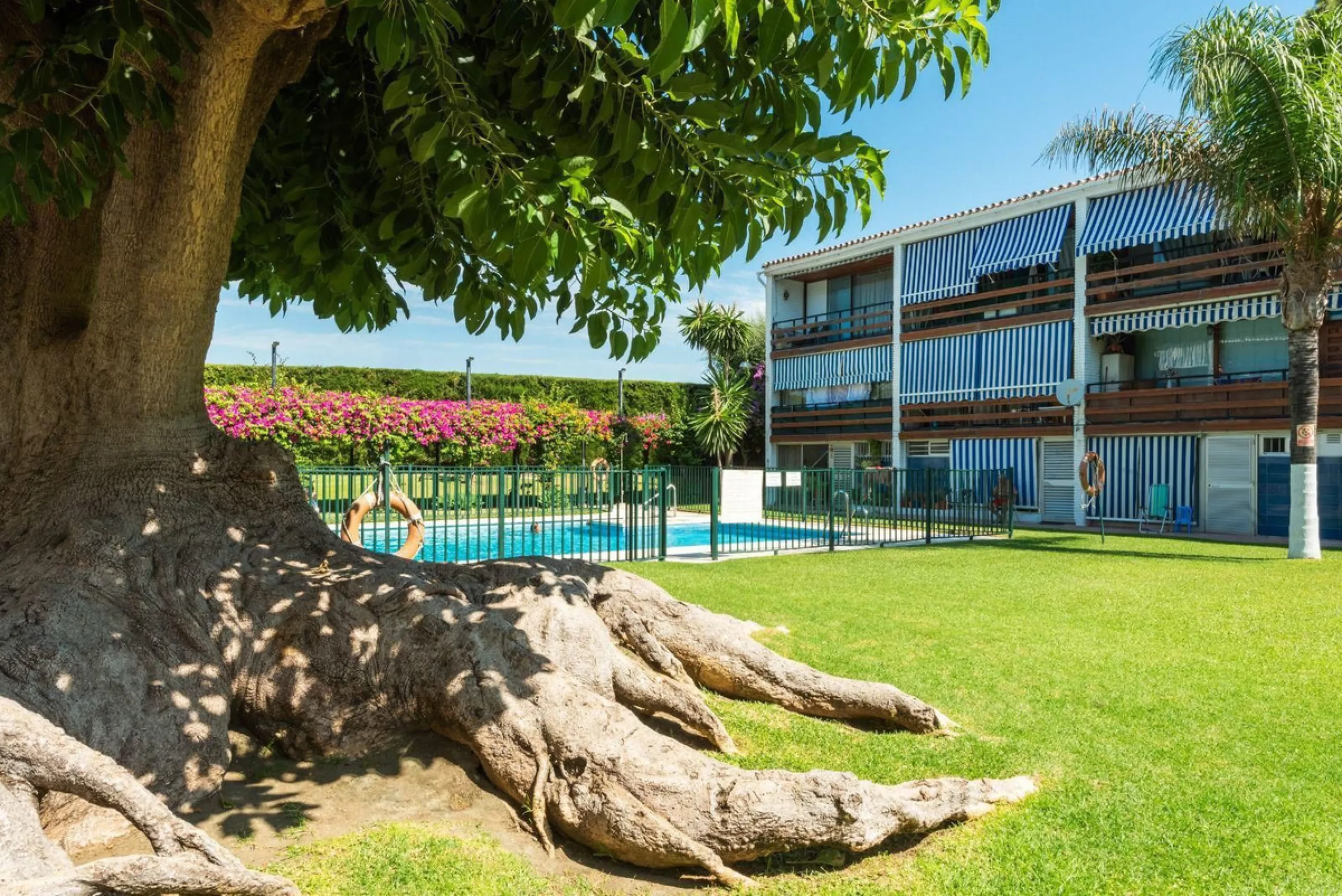 San Pedro Alcantara.