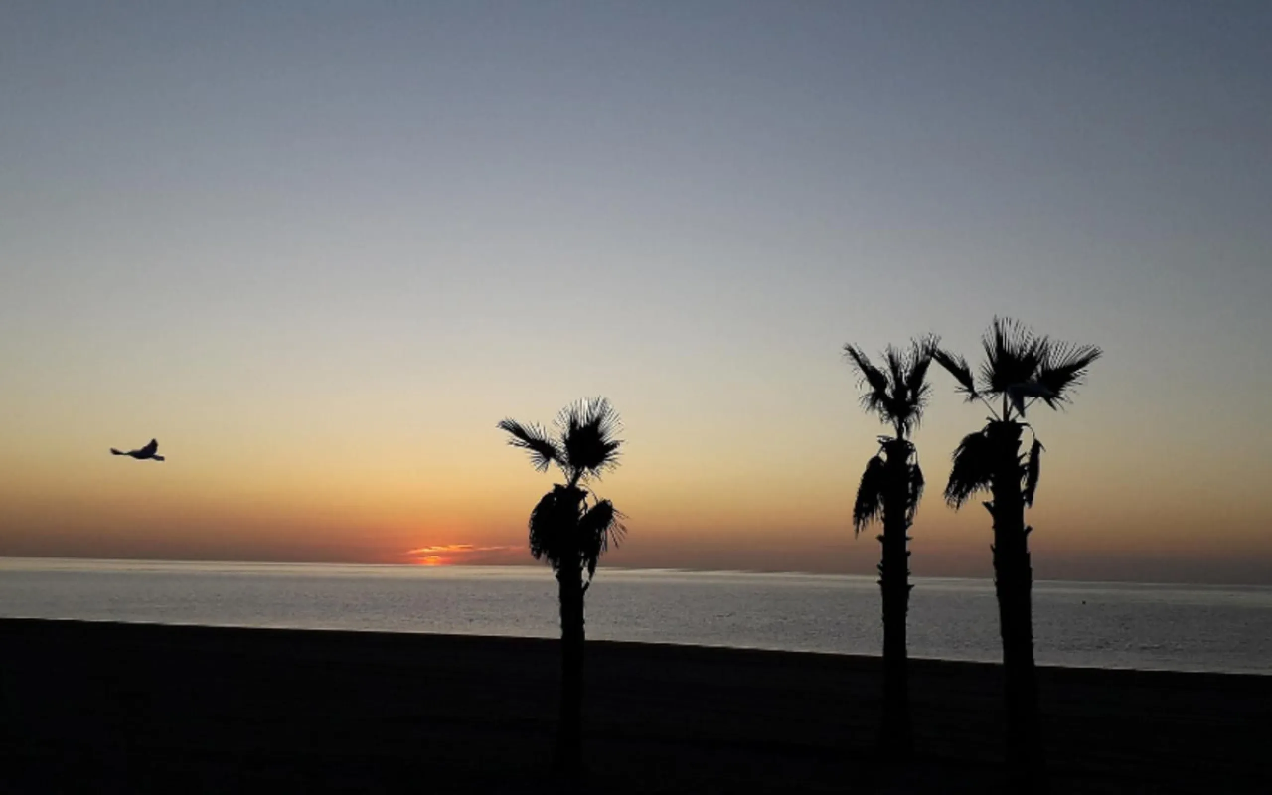 Hotel with operator in the heart of Estepona, with the possibility of becoming a residential block of apartments.