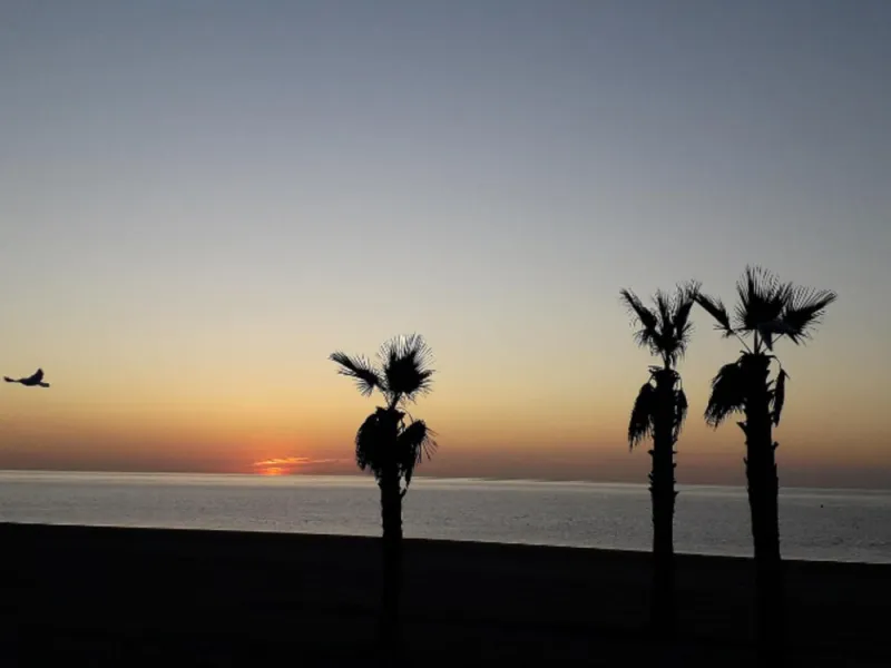 Hotel with operator in the heart of Estepona, with the possibility of becoming a residential block of apartments.