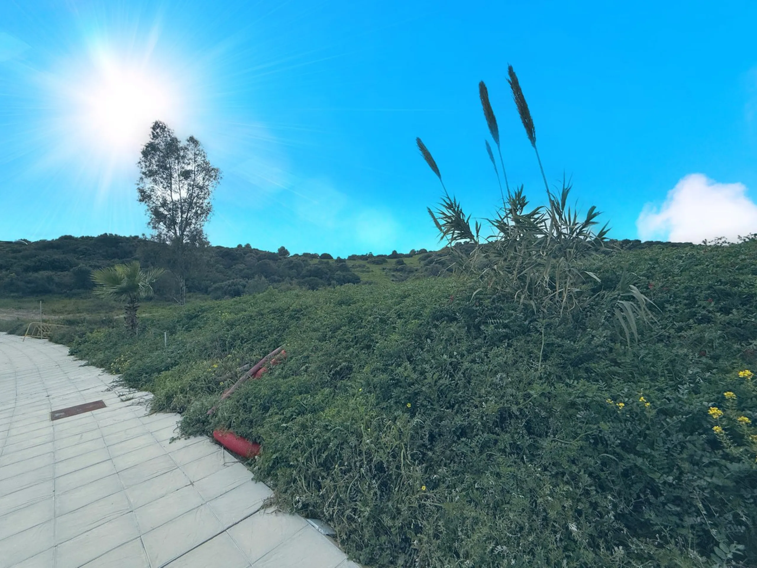 Exceptional Development Opportunity: Estepona Golf Residential Plot with Panoramic Views