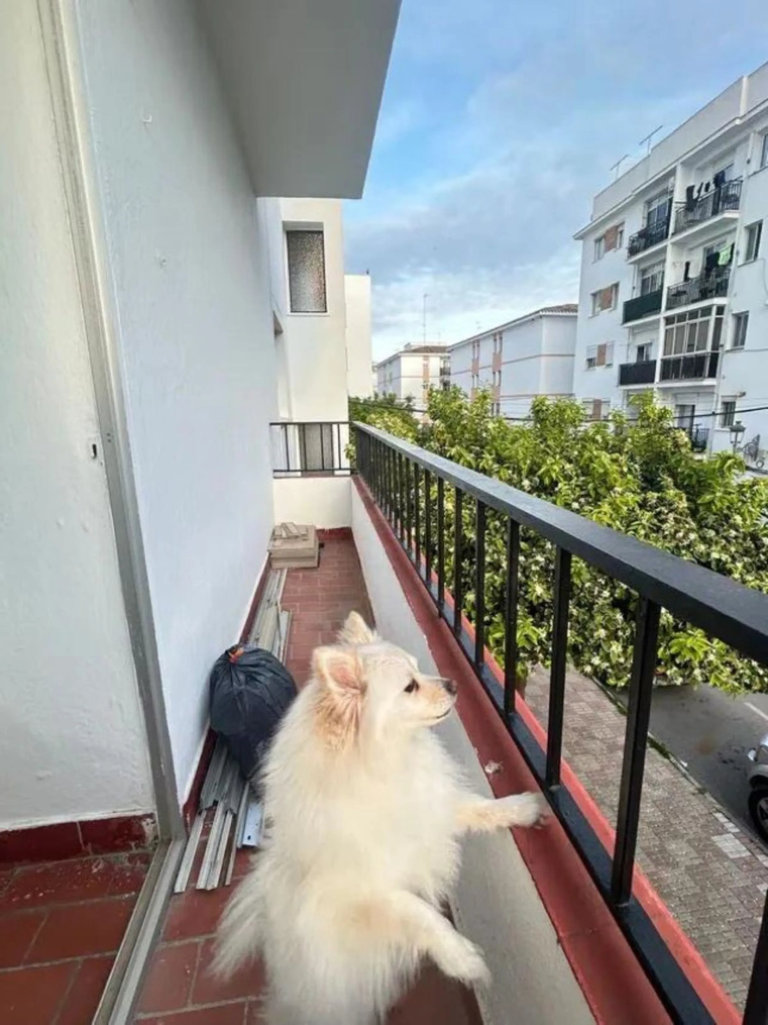 Middle Floor Apartment, Estepona, Costa del Sol.