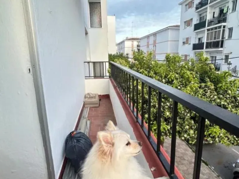 Middle Floor Apartment, Estepona, Costa del Sol.