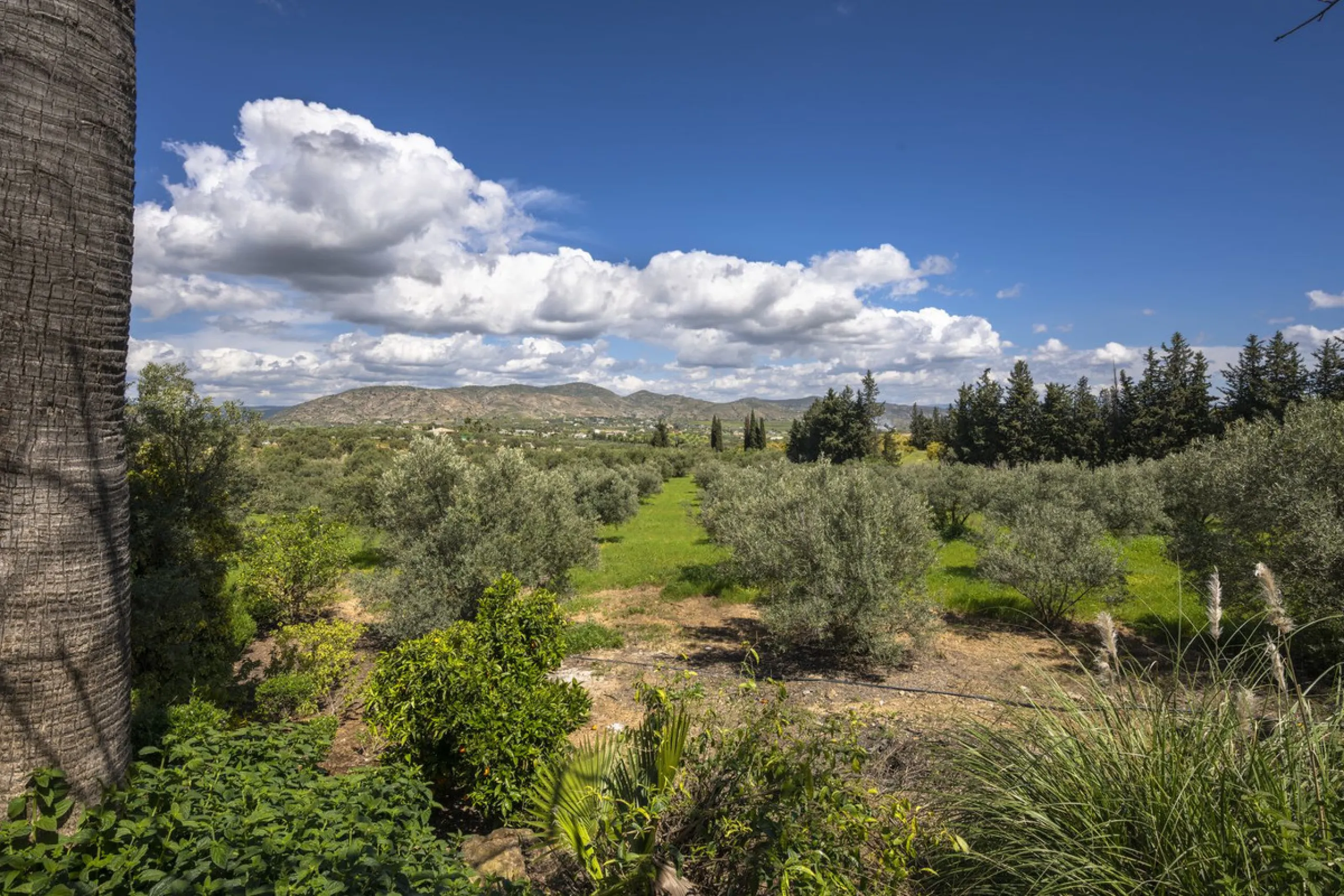 This magnificent finca offers the best of both worlds a luxurious, stylish property in a tranquil setting close to everything you need. Just five minutes driving from Alhaurin el Grande and 25 minutesfrom the airport. Perfect access, lovely views to the c