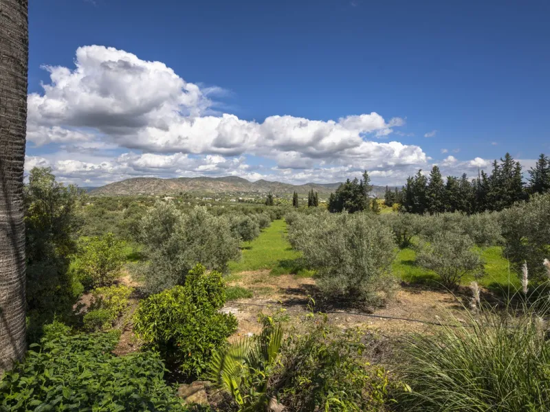 This magnificent finca offers the best of both worlds a luxurious, stylish property in a tranquil setting close to everything you need. Just five minutes driving from Alhaurin el Grande and 25 minutesfrom the airport. Perfect access, lovely views to the c