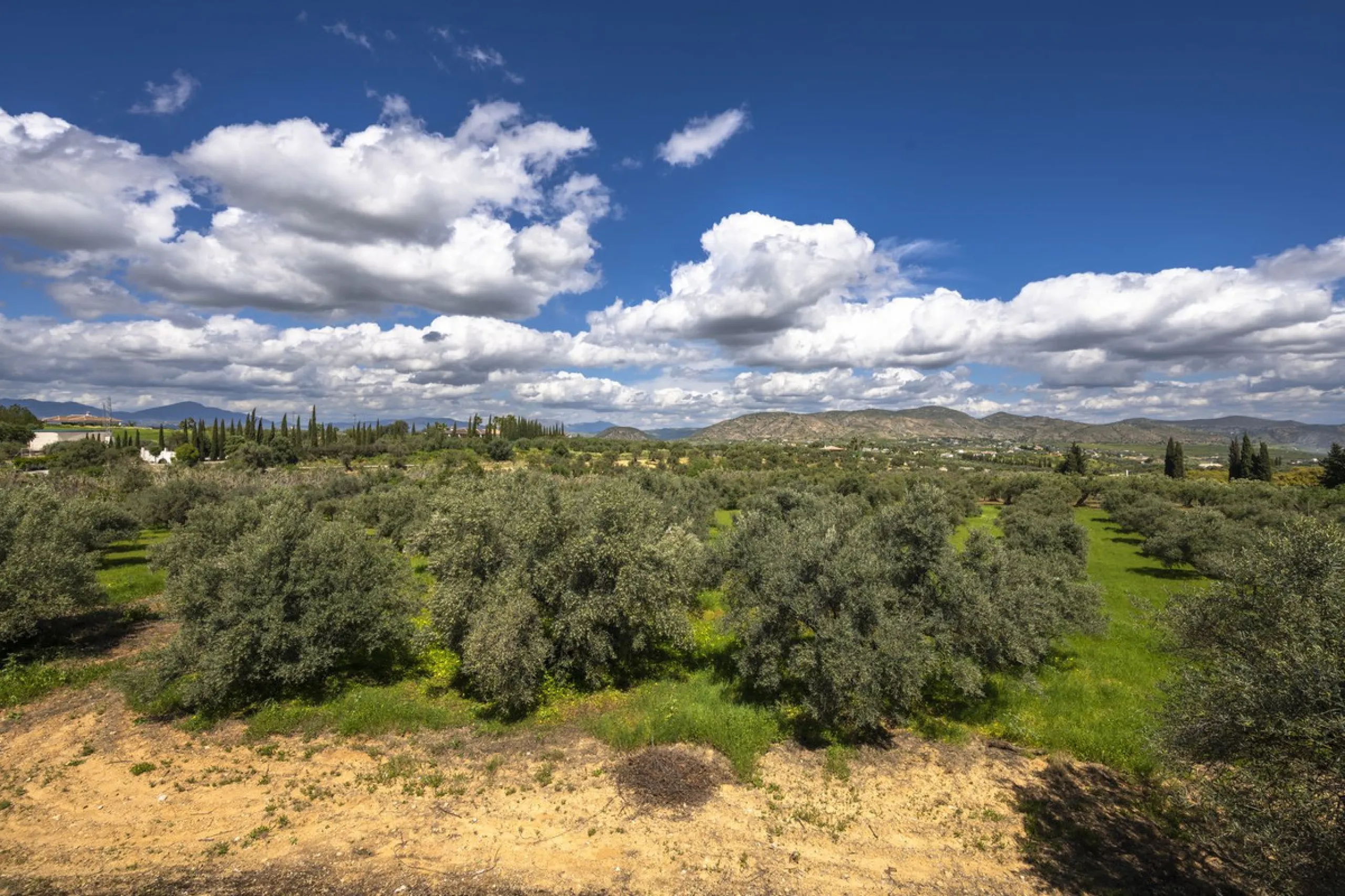 This magnificent finca offers the best of both worlds a luxurious, stylish property in a tranquil setting close to everything you need. Just five minutes driving from Alhaurin el Grande and 25 minutesfrom the airport. Perfect access, lovely views to the c
