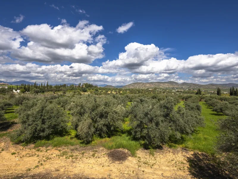 This magnificent finca offers the best of both worlds a luxurious, stylish property in a tranquil setting close to everything you need. Just five minutes driving from Alhaurin el Grande and 25 minutesfrom the airport. Perfect access, lovely views to the c