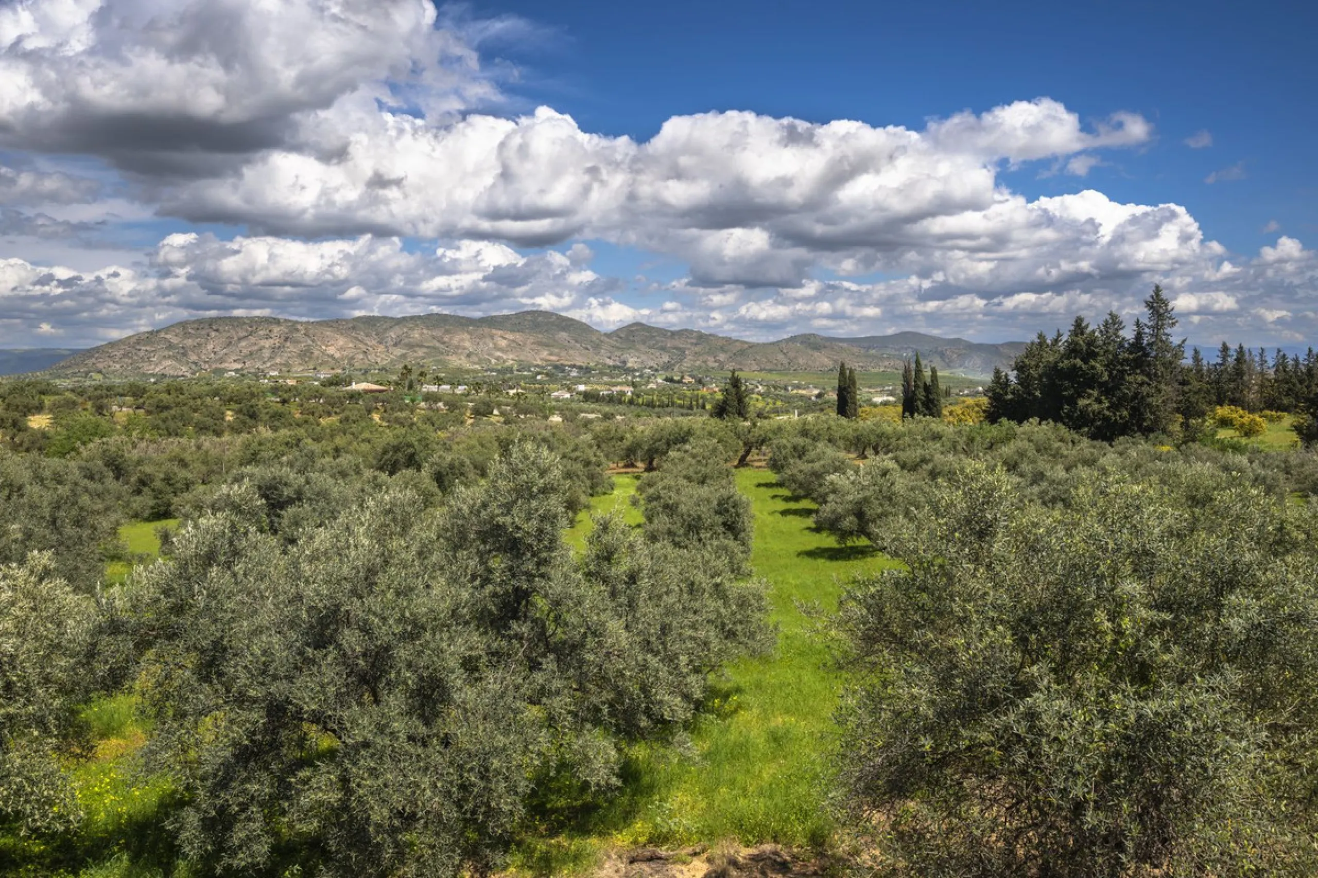 This magnificent finca offers the best of both worlds a luxurious, stylish property in a tranquil setting close to everything you need. Just five minutes driving from Alhaurin el Grande and 25 minutesfrom the airport. Perfect access, lovely views to the c