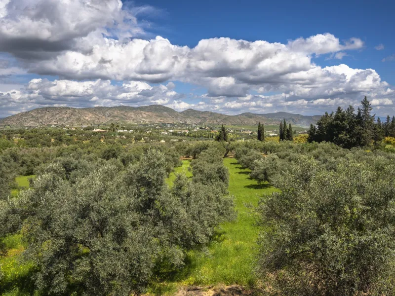 This magnificent finca offers the best of both worlds a luxurious, stylish property in a tranquil setting close to everything you need. Just five minutes driving from Alhaurin el Grande and 25 minutesfrom the airport. Perfect access, lovely views to the c