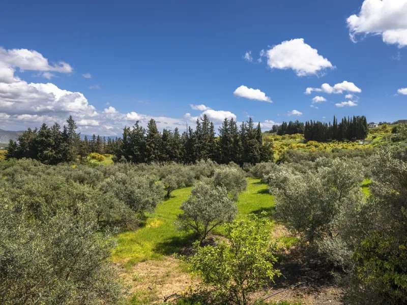 This magnificent finca offers the best of both worlds a luxurious, stylish property in a tranquil setting close to everything you need. Just five minutes driving from Alhaurin el Grande and 25 minutesfrom the airport. Perfect access, lovely views to the c