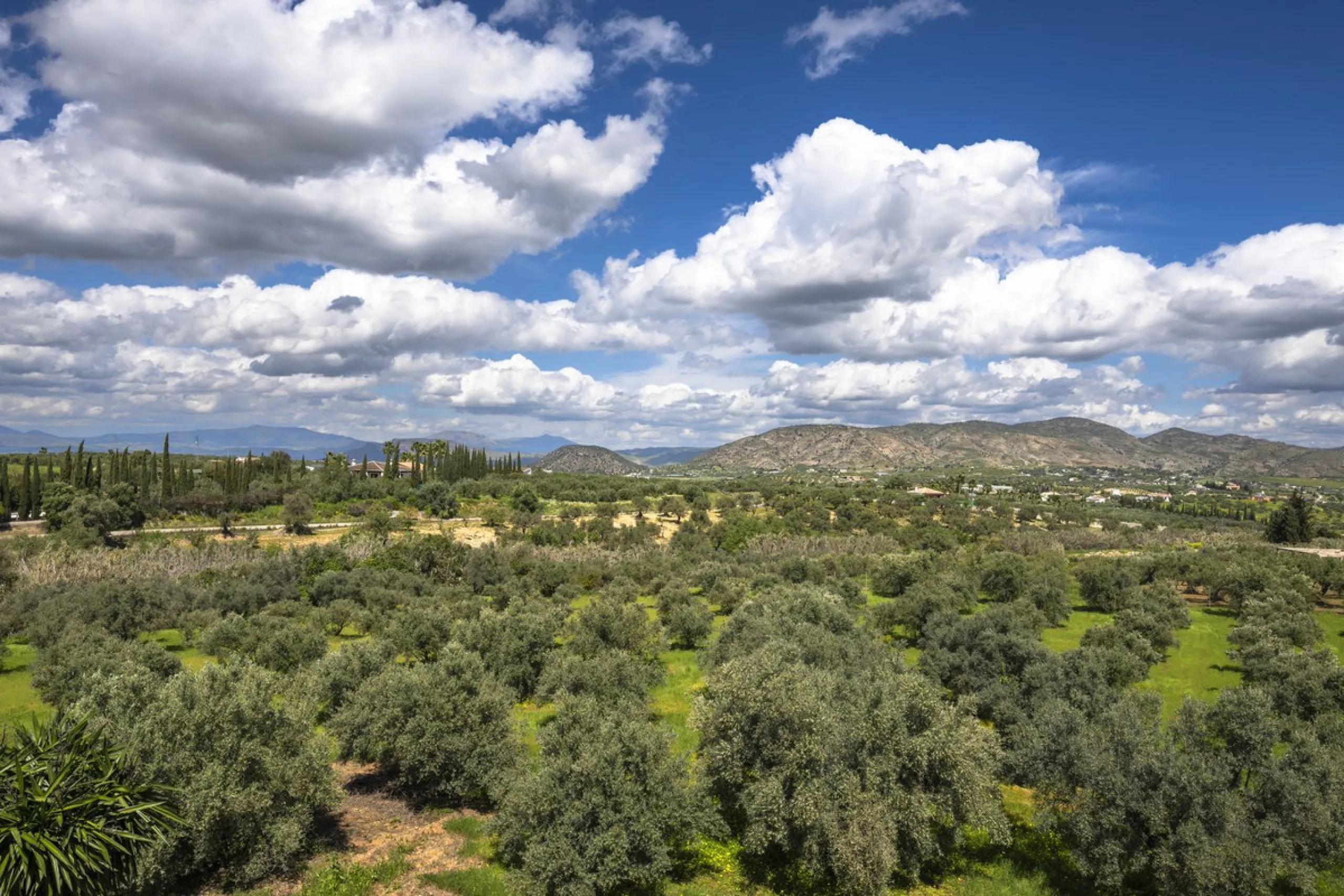 This magnificent finca offers the best of both worlds a luxurious, stylish property in a tranquil setting close to everything you need. Just five minutes driving from Alhaurin el Grande and 25 minutesfrom the airport. Perfect access, lovely views to the c