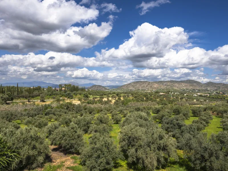 This magnificent finca offers the best of both worlds a luxurious, stylish property in a tranquil setting close to everything you need. Just five minutes driving from Alhaurin el Grande and 25 minutesfrom the airport. Perfect access, lovely views to the c